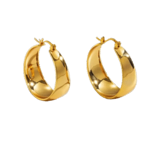 Fashion Geometric Hoop Earrings