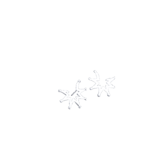 925 Sterling Silver Sunflower Stud Earrings